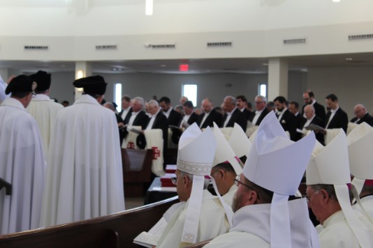 New Investee Mass October 2019